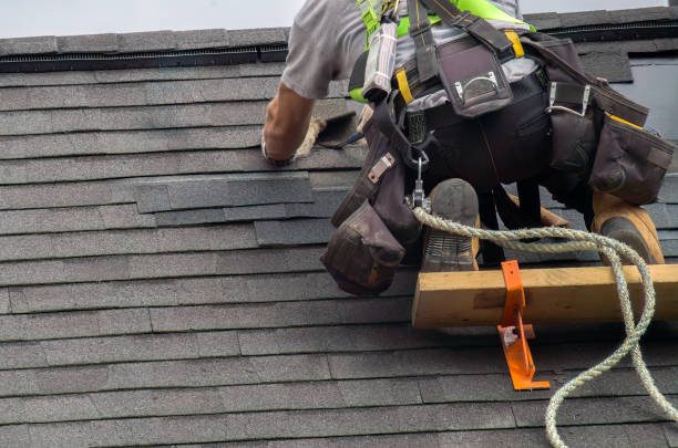 Best Roof Gutter Cleaning  in Somers, MT