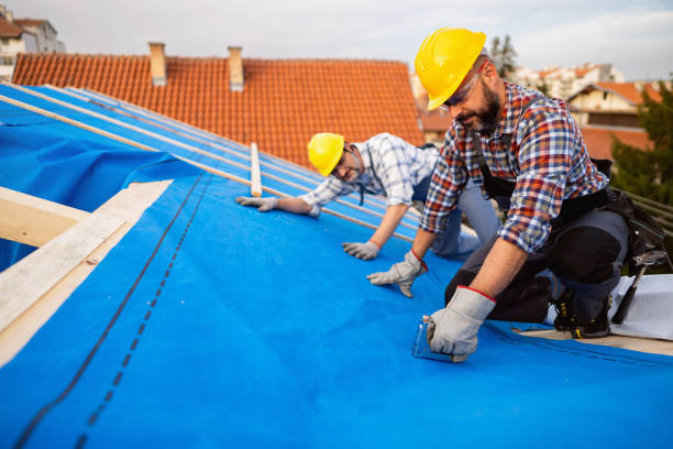Best Emergency Roof Repair  in Somers, MT