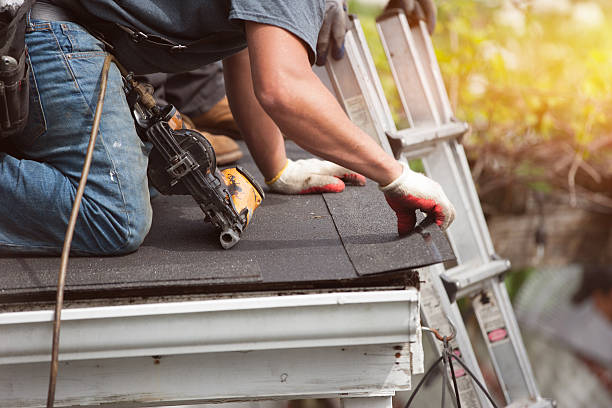 Best Local Roofing Companies  in Somers, MT